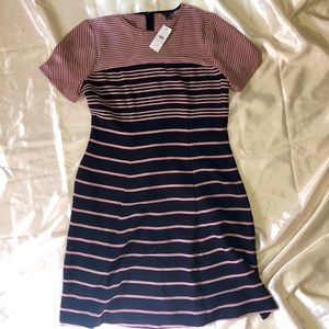NWT Ann Taylor Dress